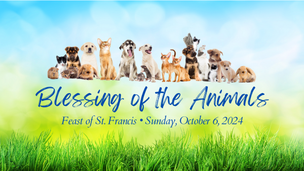 St. Francis Day and Blessing of the Animals 2024