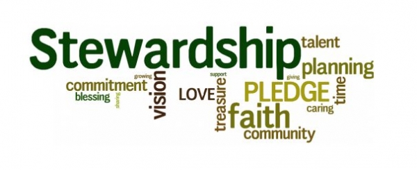 Stewardship Campaign Update 